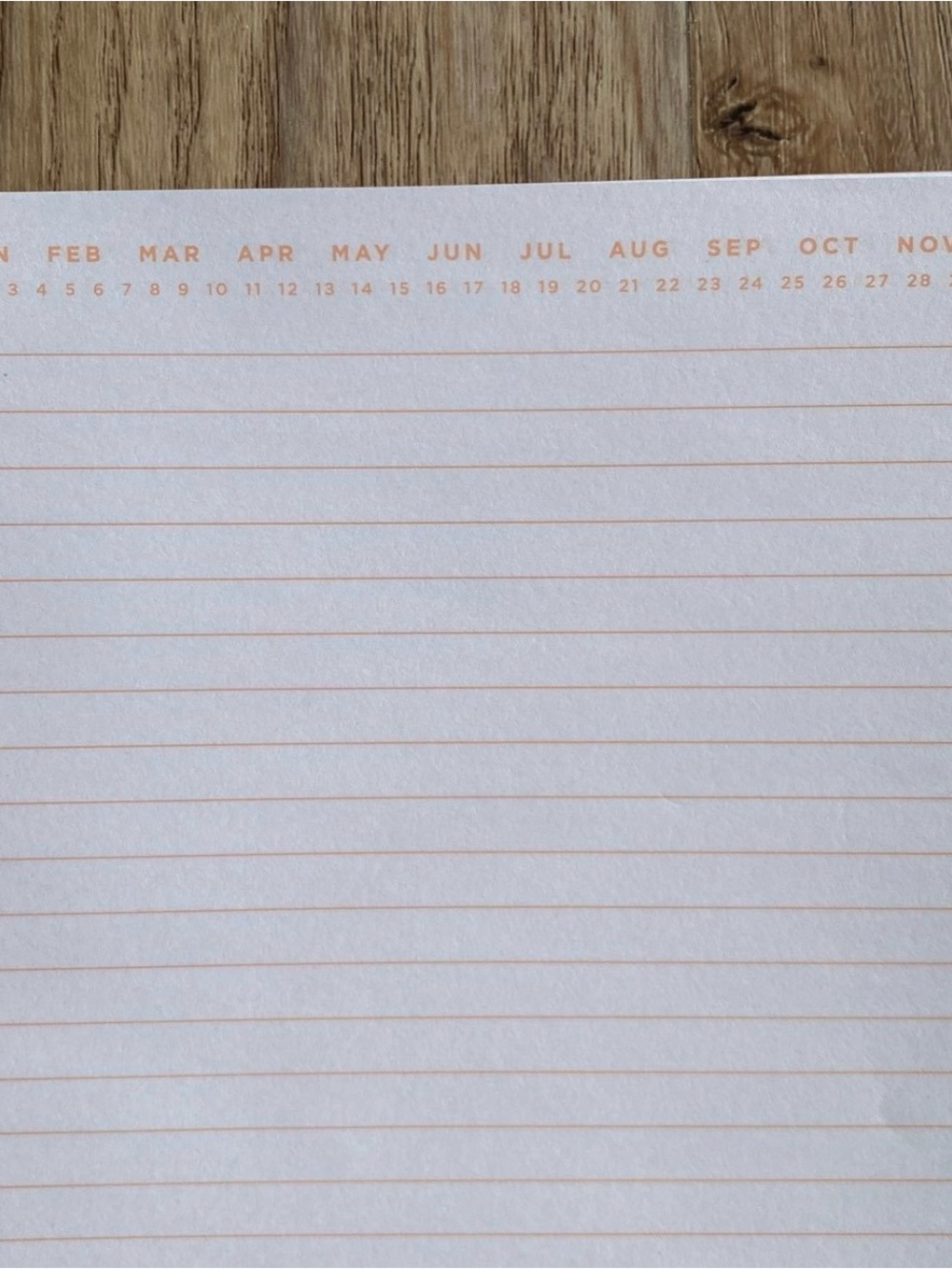 Journal - Picture 3 of 4